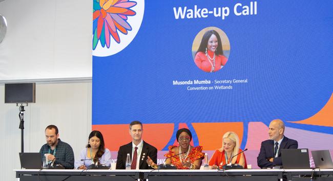Wake Up Call - Cooperation Day - 31Oct2024