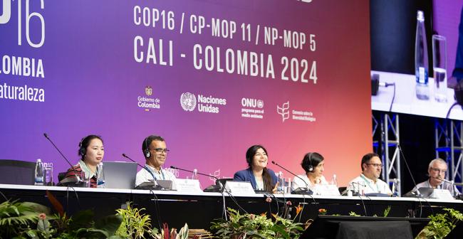 2 Isis Riquelme, Global Youth Biodiversity Network - GIZ- 25 Oct2024
