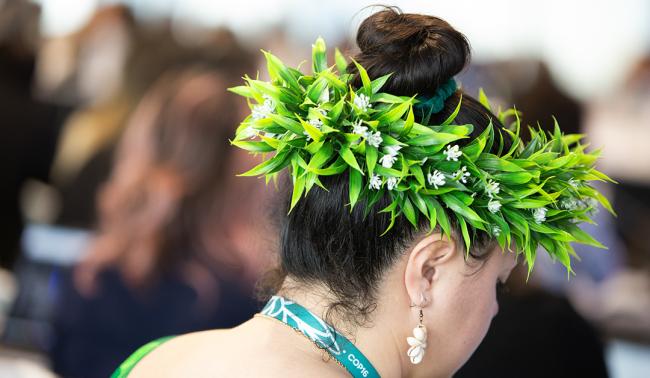 3 Around the Venue - Synergies between biodiversity and climate change - 29 Oct 2024