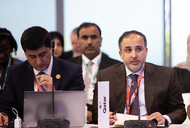 Abdulla Al Subaie, Qatar - Synergies between biodiversity and climate change- 30 Oct 2024