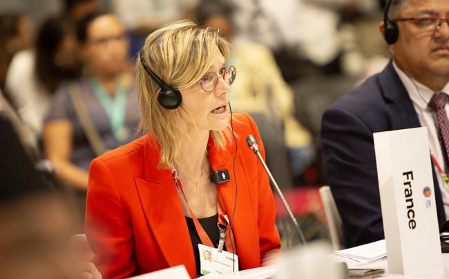 Agnès Pannier-Runacher, France . Financial System Reform - 29 Oct 2024