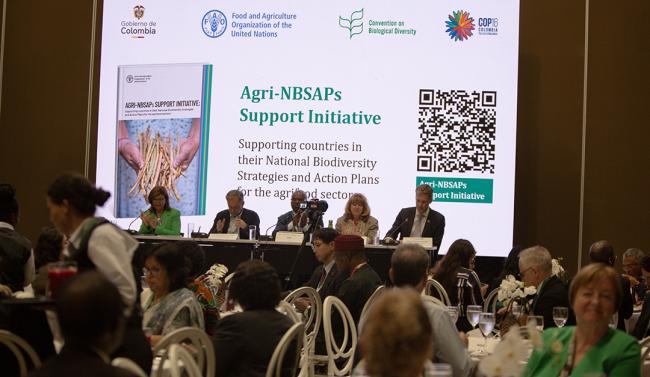 Agri NBSAPs - Ministerial Lunch - 30Oct