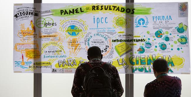 Around the Venue 2 - Synergies between biodiversity and climate change - 30 Oct 2024
