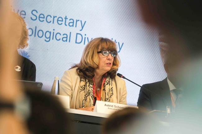 Astrid Schomaker, Executive Secretary, CBD Ocean Day -27oct24-photo
