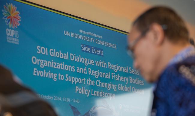 Banner - SOI Global Dialogue - 22 Oct2024