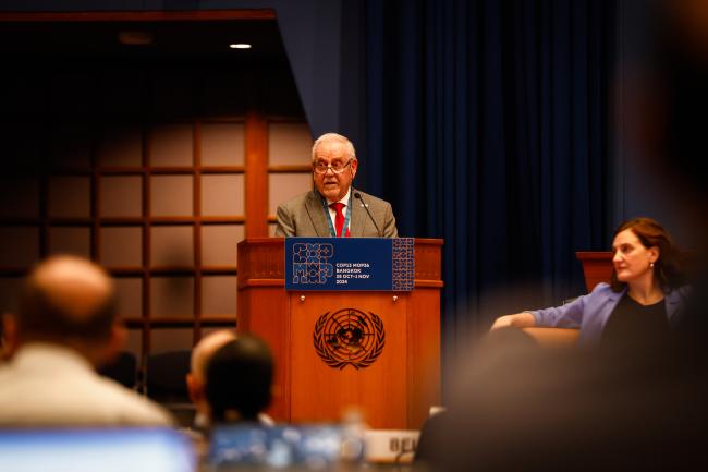 Bassam Elassaad, TEAP Task Forcee_montreal-protocol-ozone-mop36_27Oct2024_photo.jpg