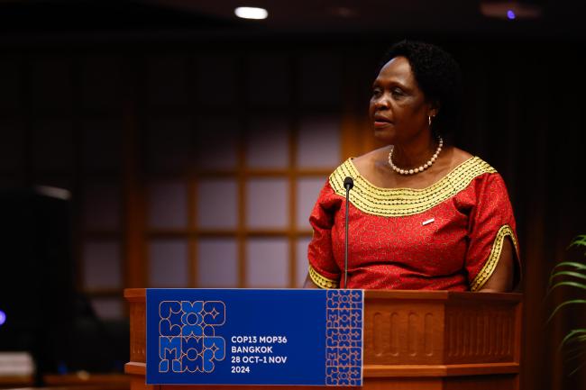 Beatrice Adwong Anywar Atim, Uganda_montreal-protocal-ozone-mop36_31Oct2024_photo.jpg