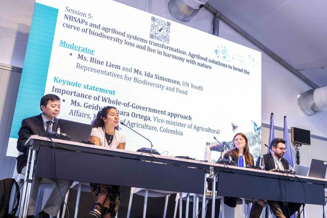 Bine Liem and Ida Simonsen, GYBN, chairing the showcase of countries NBSAPs success and opportunities round table - Food Day -28oct24-photo