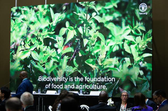 Biodiversity is the foundagtion - Ministerial Lunch - 30Oct