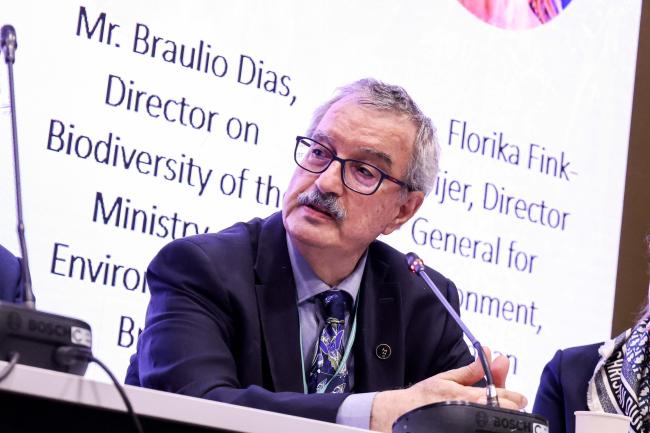 Braulio Dias, Director on Biodiversity, Minsitry of Environment, Brazil