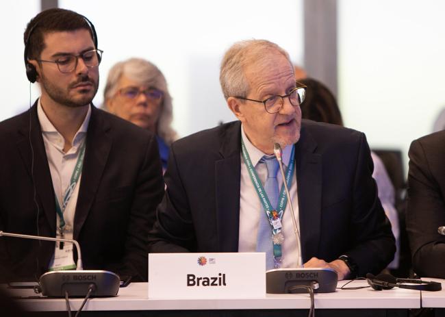 Brazil - Synergies between biodiversity and climate change- 30 Oct 2024
