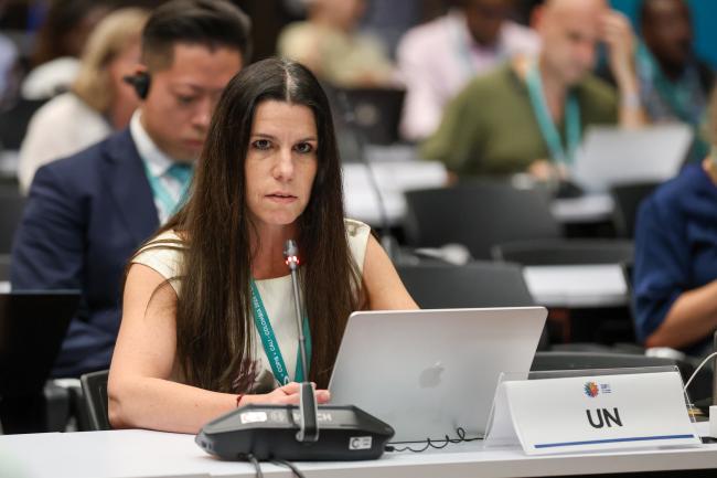 Charlotte Salpin, UN Division for Ocean Affairs and the Law of the Sea (UNDOALOS)