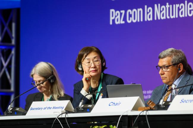 Working Group II Secretary Jihyun Lee