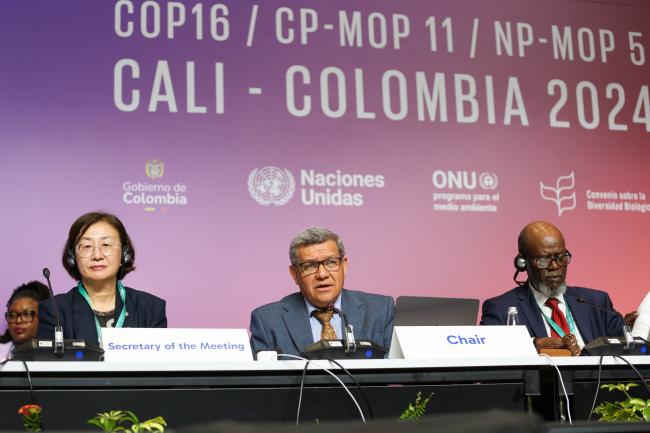 From L-R: Working Group II Secretary Jihyun Lee; Working Group II Chair Hesiquio Benítez Díaz, Mexico; and Taukondjo Shikongo, CBD Secretariat