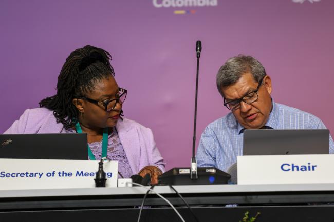 Cartagena Protocol MOP 11 Secretary Wadzanayi Goredema-Mandivenyi, and Working Group II Chair Hesiquio Benítez Díaz, Mexico