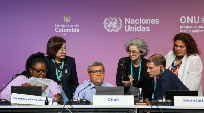 From L-R: Cartagena Protocol MOP 11 Secretary Wadzanayi Goredema-Mandivenyi; Working Group II Secretary Jihyun Lee; Working Group II Chair Hesiquio Benítez Díaz, Mexico; Kathryn Garforth, CBD Secretariat; Peter Deupmann, CBD Secretariat; and Paola Scarone, CBD Secretariat