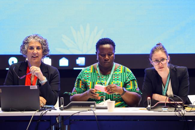 From L-R: Kristina Taboulchanas, CBD Secretariat; Mukondi Matshusa, South Africa; and Holly Kelley-Weil, UK