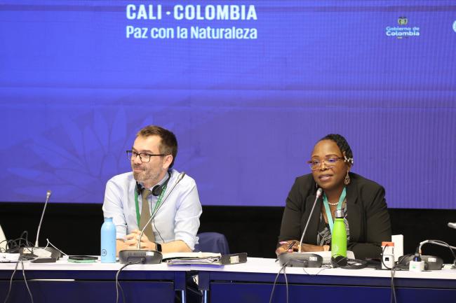 Contact Group on DSI Co-Chairs William Lockhart, UK, and Lactitia Tshitwamulomoni, South Africa