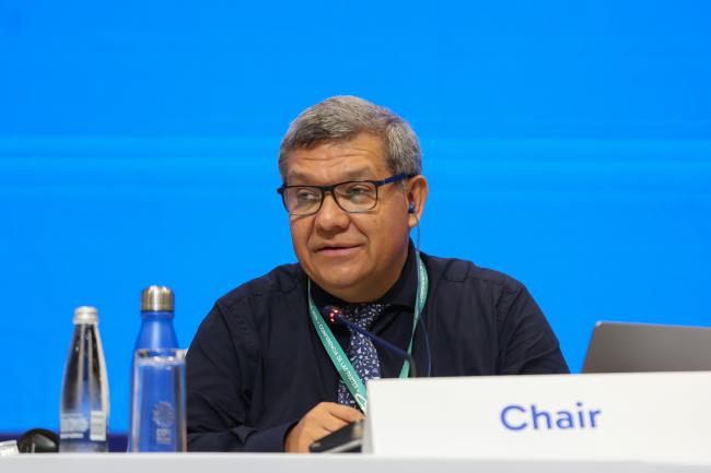 Working Group II Chair Hesiquio Benítez Díaz, Mexico