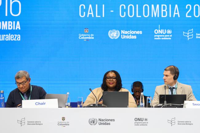 From L-R: Working Group II Chair Hesiquio Benítez Díaz, Mexico;Cartagena Protocol MOP 11 Secretary Wadzanayi Goredema-Mandivenyi; and Peter Deupmann, CBD Secretariat
