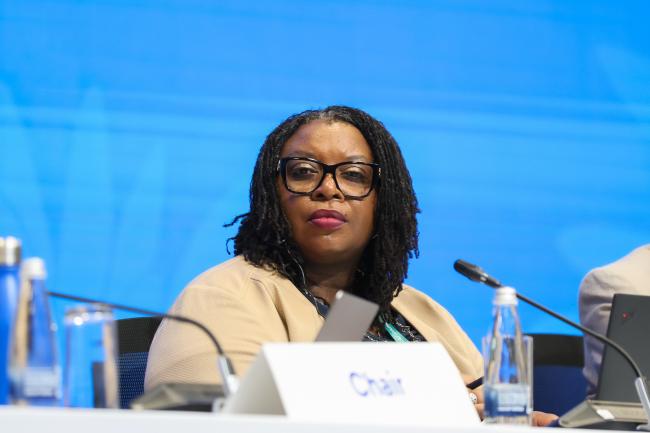 Cartagena Protocol MOP 11 Secretary Wadzanayi Goredema-Mandivenyi
