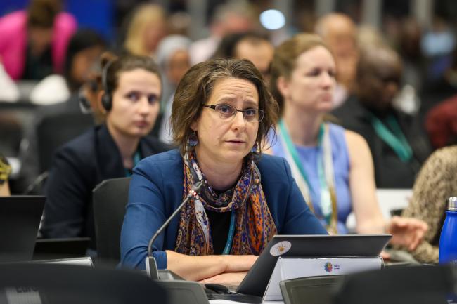 Rita Andorkó, Hungary, speaking on behalf of the EU and its Member States