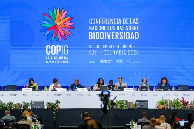 View of the dais during Working Group II