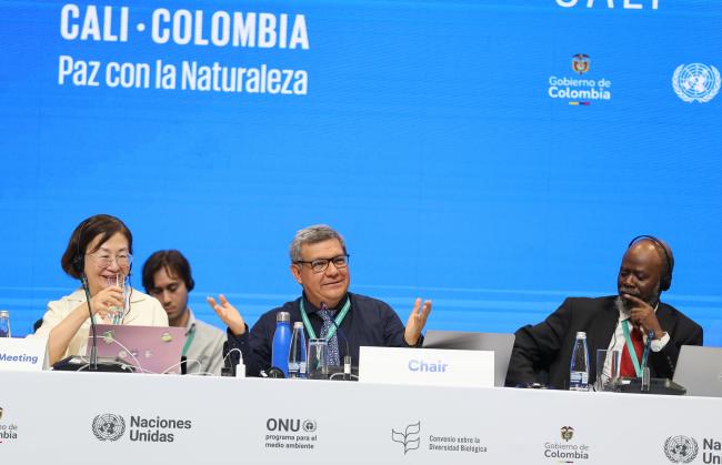 Working Group II Secretary Jihyun Lee; Working Group II Chair Hesiquio Benítez Díaz, Mexico; and Taukondjo Shikongo, CBD Secretariat