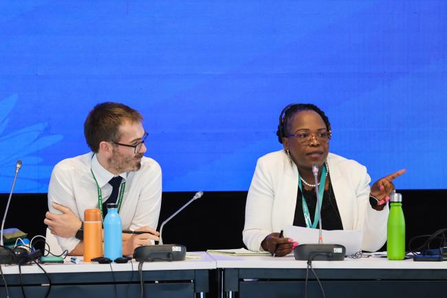 Contact Group on DSI Co-Chairs William Lockhart, UK, and Lactitia Tshitwamulomoni, South Africa