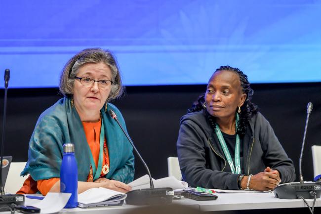 Contact Group on risk assessment and risk management Co-Chairs Martha Kandawa-Schulz, Namibia, and Marja Ruohonen-Lehto, Finland