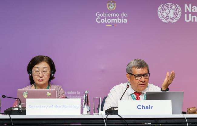 Working Group II Secretary Jihyun Lee, and Working Group II Chair Hesiquio Benítez Díaz, Mexico