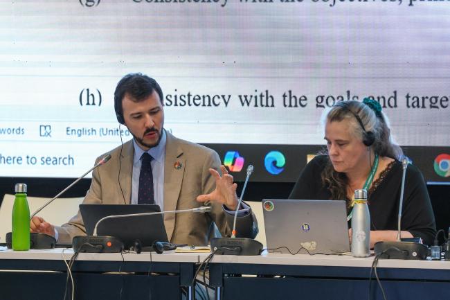 Contact Group on resource mobilization Co-Chairs Patrick Luna, Brazil, and Ines Verleye, Belgium