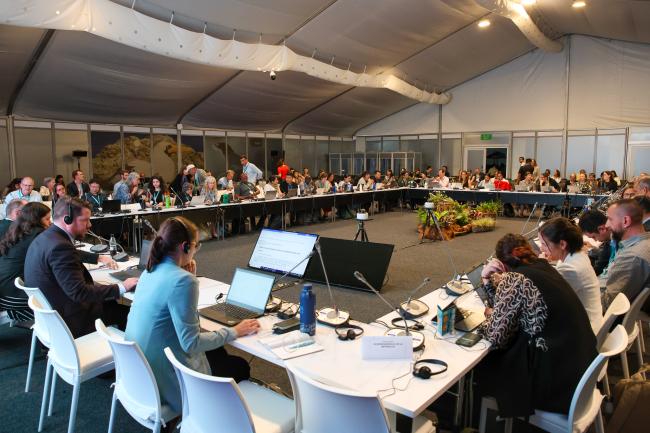 View of the room during the Contact Group on marine and coastal biodiversity