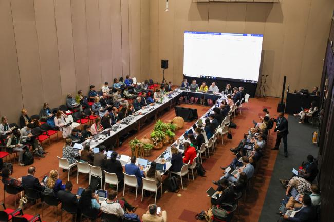 View of the room during the Contact Group on the financial mechanism