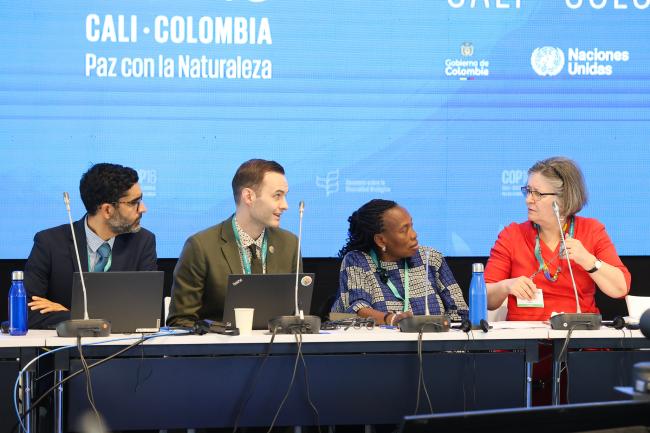 View of the dais during the Contact Group on Synthetic Biology