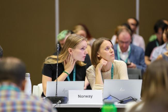 Delegates from Norway conferring