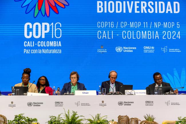 View of the dais during Working Group I