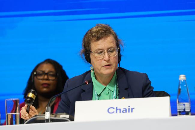 Working Group I Chair Charlotta Sörqvist, Sweden