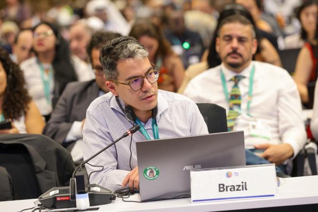 Luiz Eduardo Andrade de Souza, Brazil