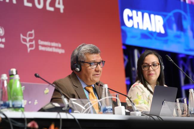 Working Group II Chair Hesiquio Benítez Díaz, Mexico