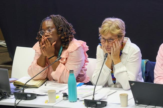 Contact Group on mechanisms for planning, monitoring, reporting and review Co-Chairs Ntakadzeni Tshidada, South Africa, and Anne Teller, EU