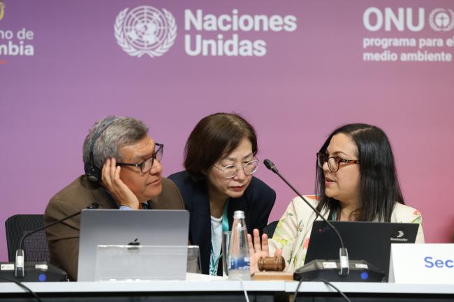 From L-R: Working Group II Chair Hesiquio Benítez Díaz, Mexico; Working Group II Secretary Jihyun Lee; and Jillian Campbell, CBD Secretariat