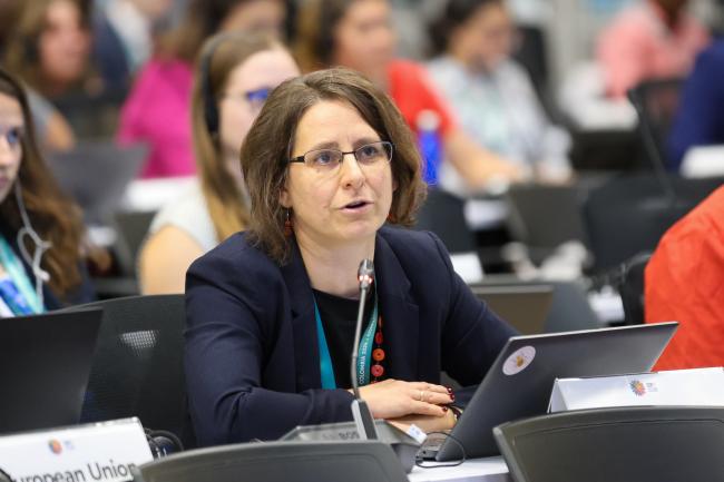 Rita Andorkó, Hungary, speaking on behalf of the EU and its Member States
