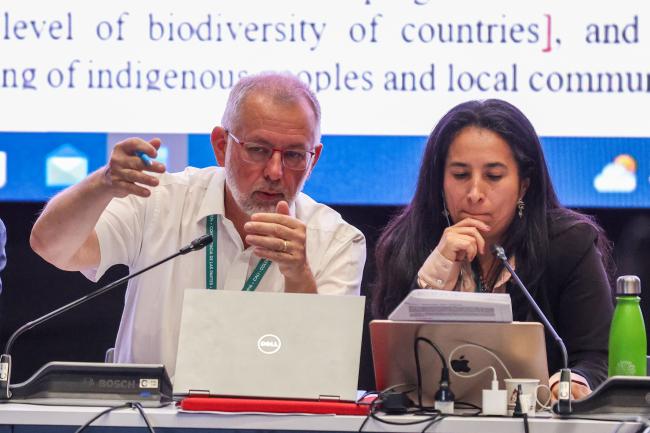 Contact Group on the financial mechanism Co-Chairs Ladislav Miko, Czechia, and Laura Bermúdez Wilches, Colombia
