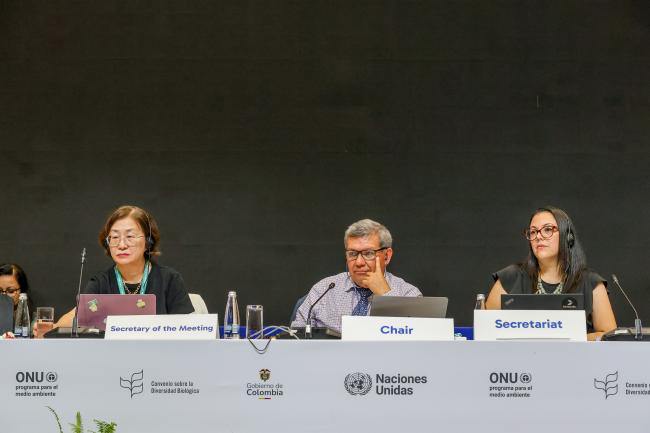 From L-R: Working Group II Secretary Jihyun Lee; Working Group II Chair Hesiquio Benítez Díaz, Mexico; and Marianela Araya Quesada, CBD Secretariat