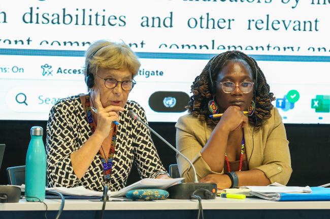 Contact Group on mechanisms for planning, monitoring, reporting and review Co-ChairsAnne Teller, EU, and Ntakadzeni Tshidada, South Africa