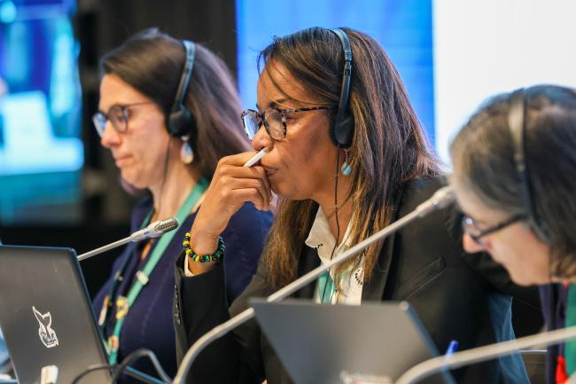 Contact Group on mechanisms for planning, monitoring, reporting and review Co-Chair Gillian Guthrie, Jamaica