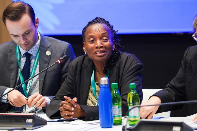 Contact Group on synthetic biology Co-Chair Martha Kandawa-Schulz, Namibia