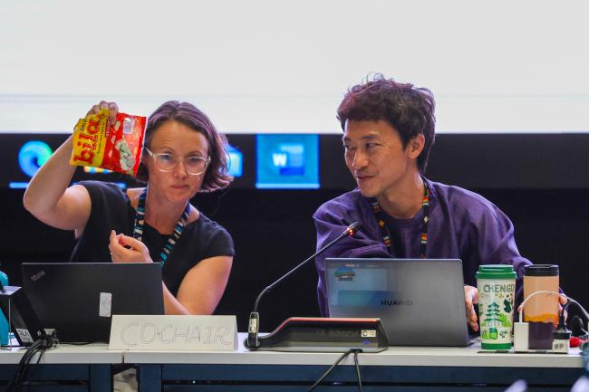 Contact Group on climate change Co-Chairs Clarisse Kehler Siebert, Sweden, and Xiang Gao, China