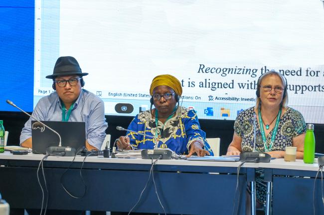 From L-R: Q”apaj Conde Choque, CBD Secretariat; and Contact Group on Article 8(j) Co-Chairs Lucy Mulenkei, Indigenous Information Network, and Pernilla Malmer, Sweden